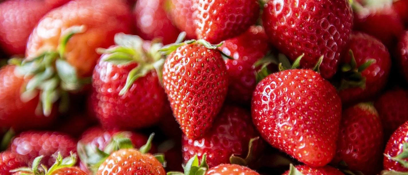 25.07.26 Marktfrühstück