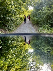 Natur und Waldbaden farnfunken Natur und Waldbaden farnfunken