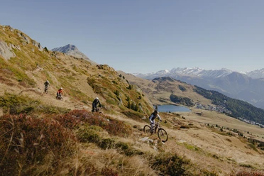 Vier Mountainbiker fahren auf dem Blausee Trail über alpine Wiesen mit weitem Blick auf die Walliser Alpen.