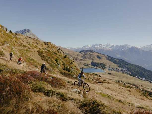 Vier Mountainbiker fahren auf dem Blausee Trail über alpine Wiesen mit weitem Blick auf die Walliser Alpen.