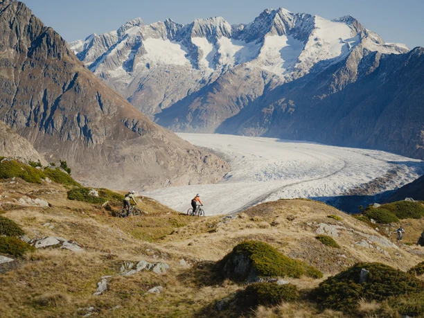 Mountainbiker fährt auf dem Blausee Trail über alpine Wiesen mit Blick auf den Grossen Aletschgletscher und die Walliser Viertausender.