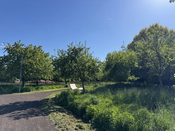 Sonnenbeschienener Landschaftspfad mit Bank, Wiese und Bäumen an der Oll Wiek.