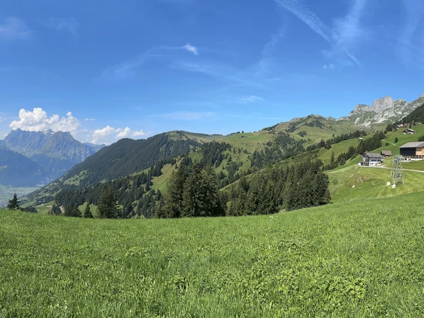 Panorama