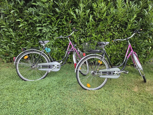 Wilmas Kleine Auszeit - Fahrräder