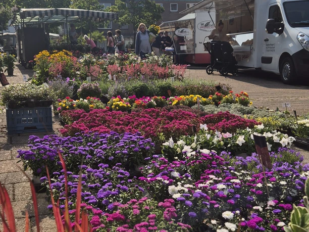Wochenmarkt in Rhede