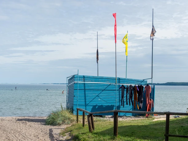 taff_noltemedia02719