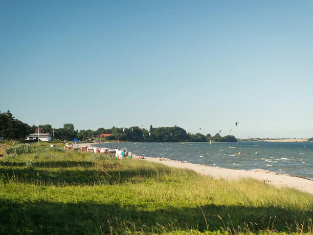 taff_noltemedia05162