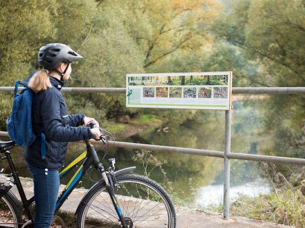 Radfahrer an Infotafeln