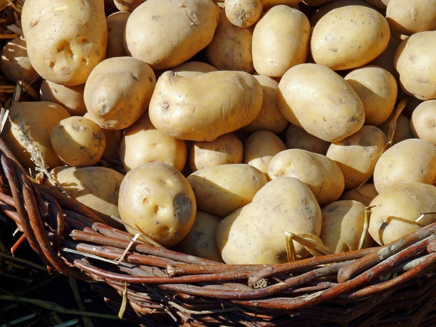 Kartoffeln