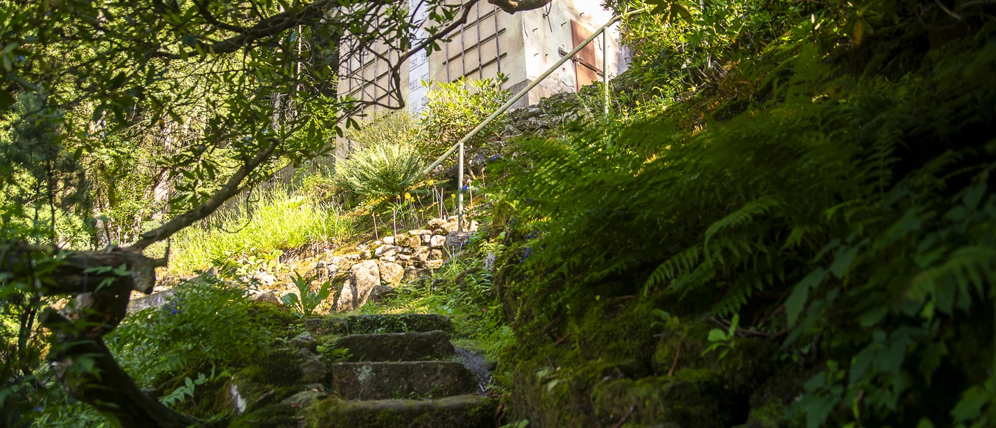 Botanischer Garten Bad Schandau