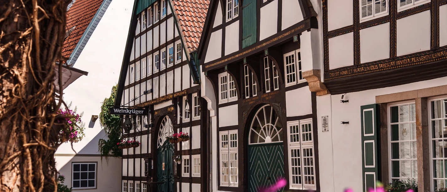 Blick auf das Weinkrüger in der Altstadt
