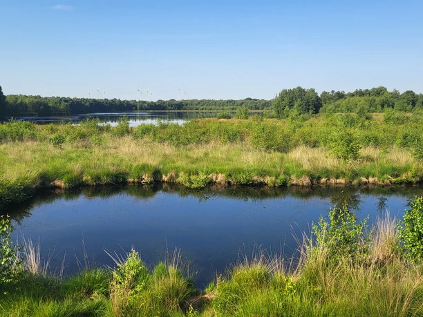 Theikenmeer-Runde - Hümmling-Pfade_Blick aufs Theikenmeer im Sommer ©Naturpark Hümmling.jpg