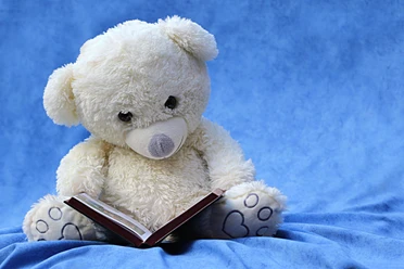 Teddy | Beispielbild