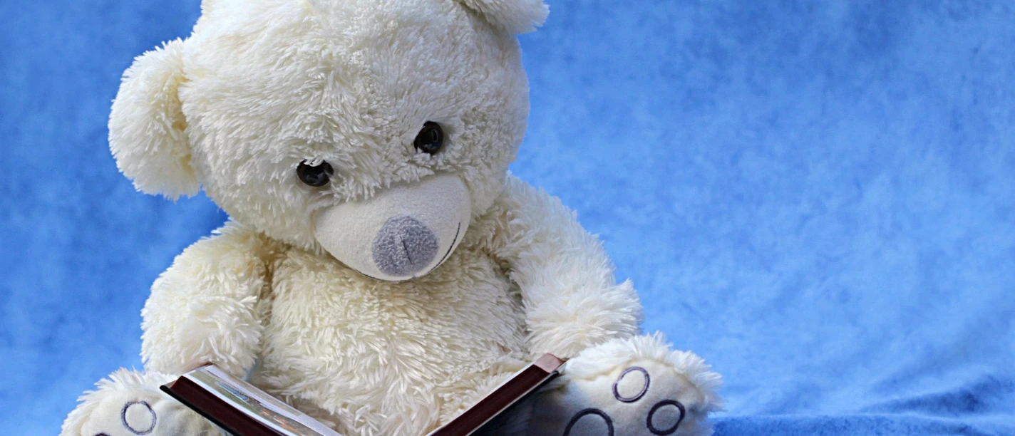 Teddy | Beispielbild Teddy | Beispielbild