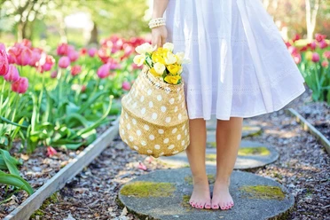 Frühlingsschritte im Blütenparadies Unterkörper einer barfuß laufenden Frau mit weißem Kleid und gelbem Tulpenkorb, entlang eines Tulpenbeets