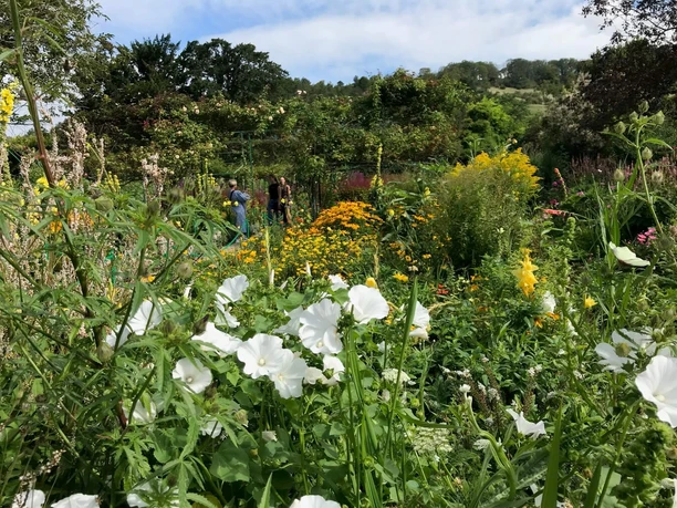 Blütenpracht im Garten Ein reich bepflanzter Garten mit Blumen und Stauden, im Hintergrund sind zwei Menschen zu sehen.