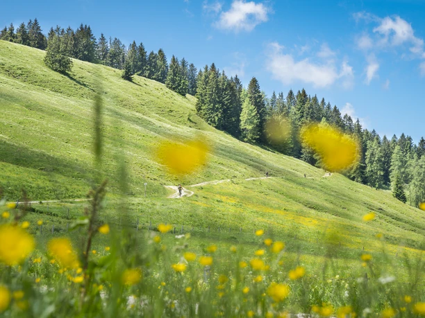 Unterwegs am Schliersberg
