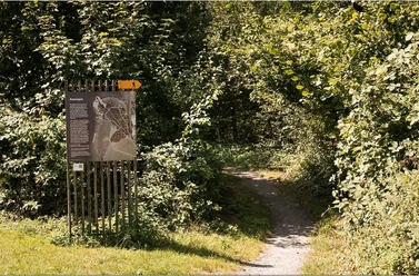 Auenspur - Waldlehrpfad Steinen