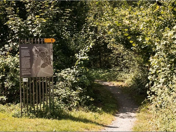 Auenspur - Waldlehrpfad Steinen