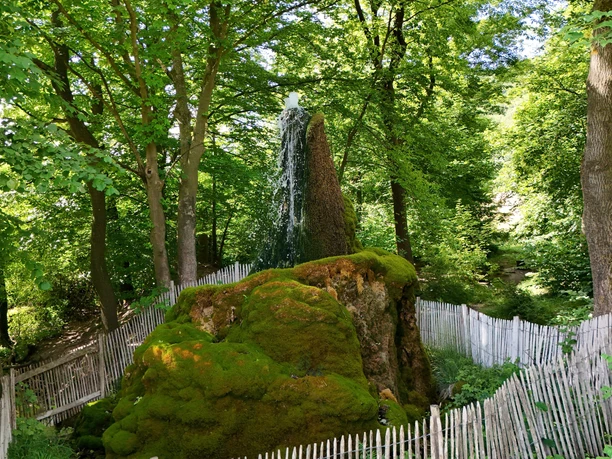 Wasserbaum Ockensen