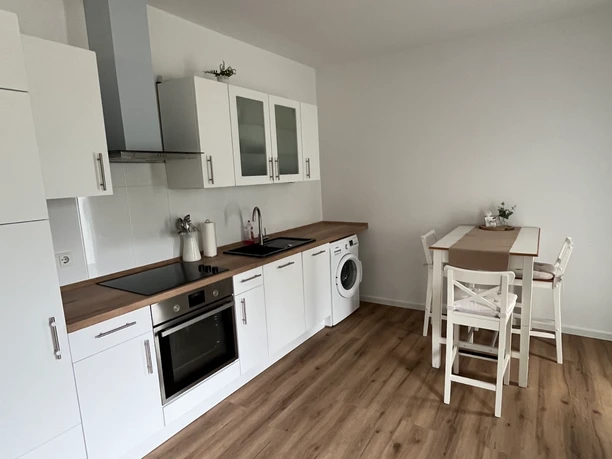 Moderne Einbauküche in der Ferienwohnung Nord auf dem Hof Ehrichs