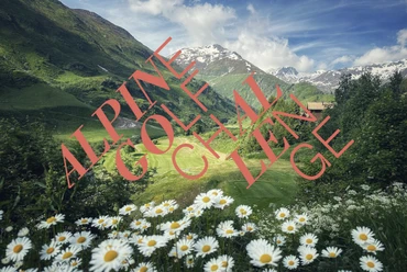 keyvisual_logotext_large.png