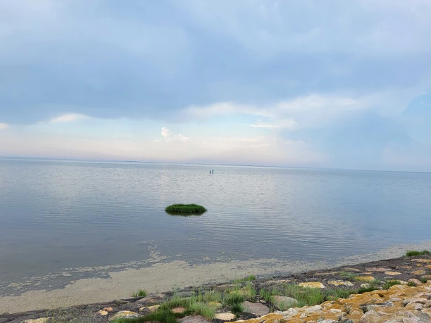 Die Aussicht der Beachbar in Büsumer Deichhausen Niedrigwasser in Büsumer Deichhausen
