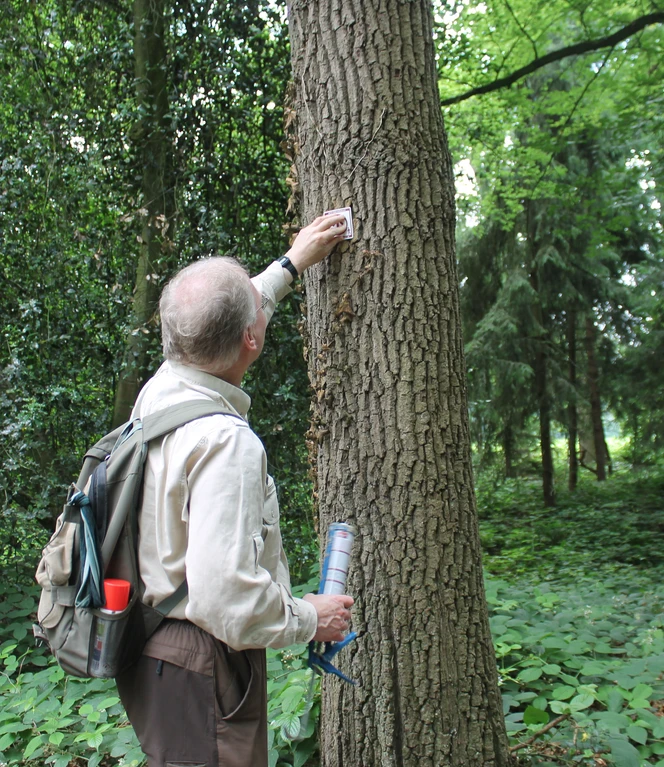 Streifzug mit Naturpark-Ranger Andreas Rakers ©Martina Alfers (25).JPG