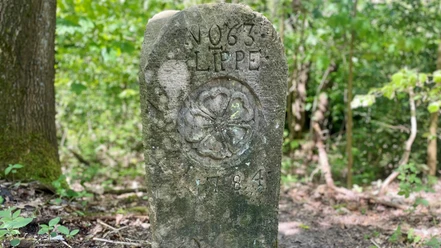 Historischer Grenzstein von Lippe mit Rosenrelief und Jahreszahl 1784 im Wald