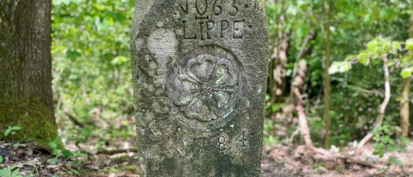 Historischer Grenzstein von Lippe mit Rosenrelief und Jahreszahl 1784 im Wald