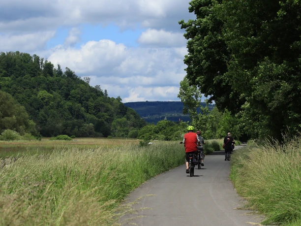 Radfahrer RuhrtalRadweg Radfahrer von hinten auf asphaltiertem Radweg. links und rechts Begrünung