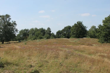 Blick über den Ottmannsberg