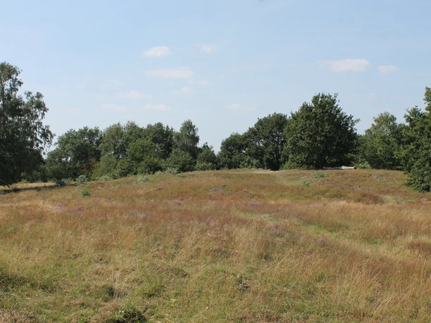 Blick über den Ottmannsberg