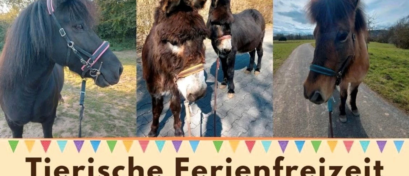 Tierische Ferienfreizeit | Blíðas Hof