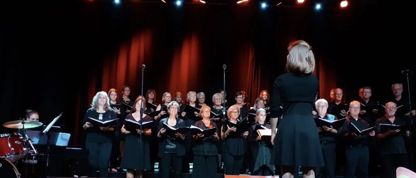 Kammerchor Brunsviga Foto.jpg