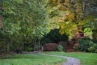Wanderung Herbst Herbstlicher Wanderweg mit Bank, Holzbrücke und buntem Laub im Grünen