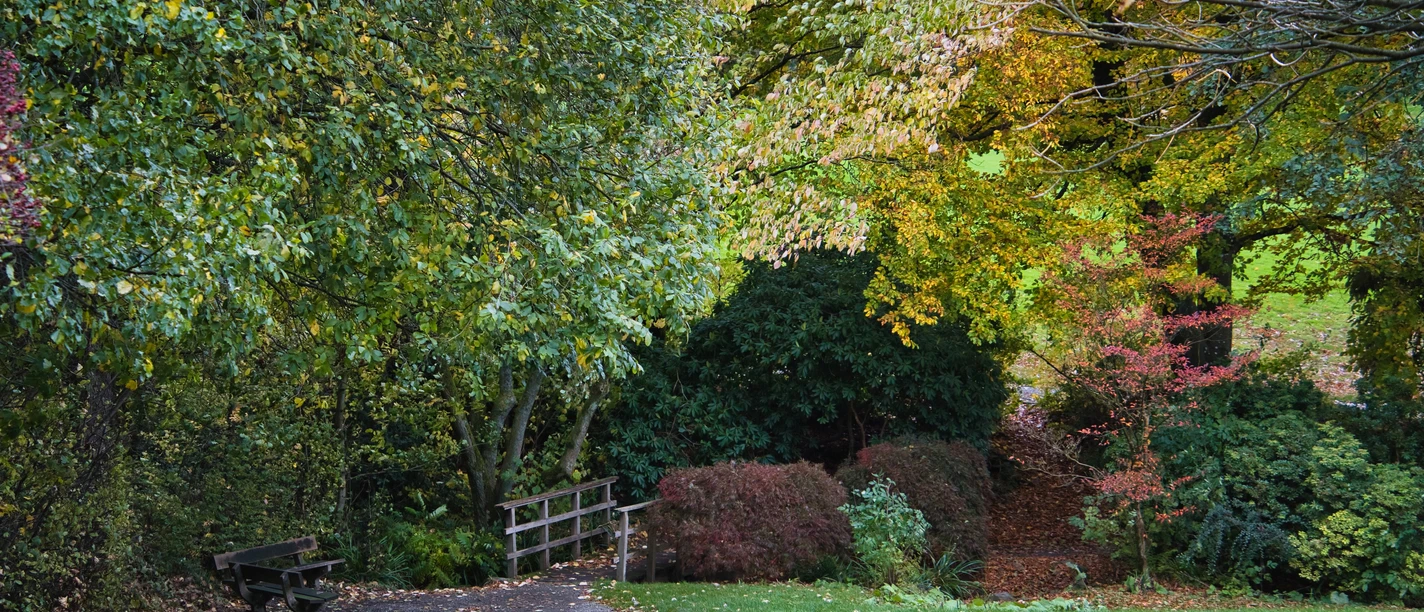 Wanderung Herbst Herbstlicher Wanderweg mit Bank, Holzbrücke und buntem Laub im Grünen