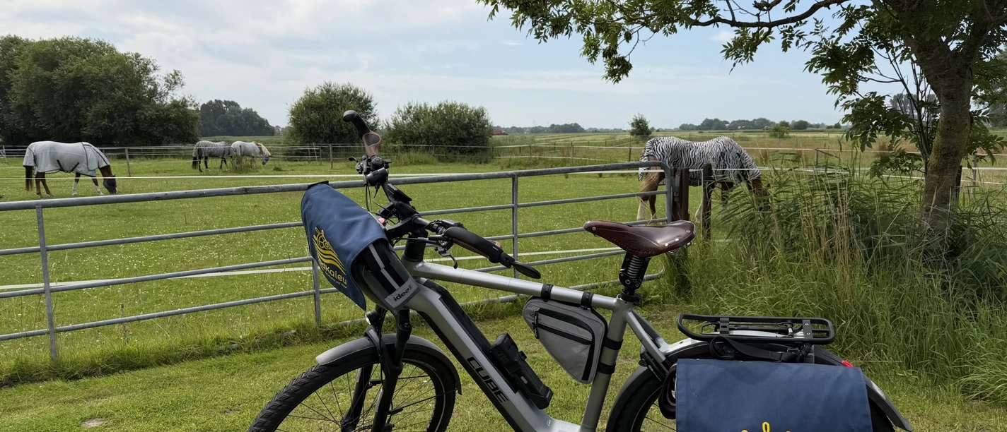 Radtour Hooksiel–Jever RadKaleu-Fahrrad an einer Weide auf der Radtour von Hooksiel nach Jever