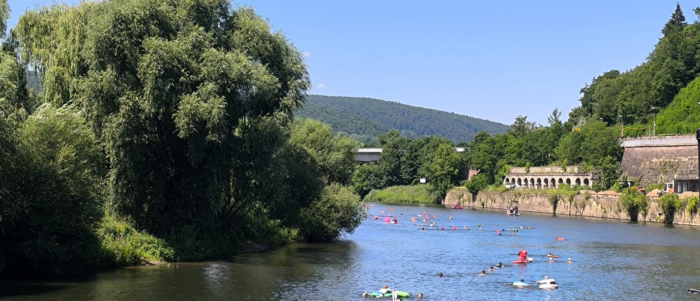 1000724498.jpg
