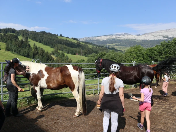 Reiten Website