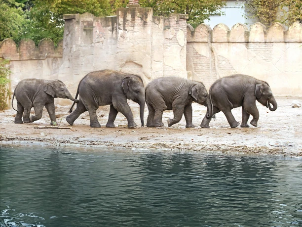 Kurzurlaub Zoo Leipzig 2