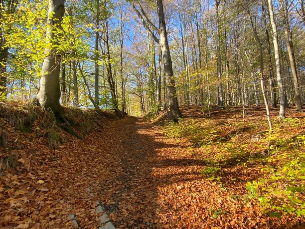 Wanderweg Liebstadt