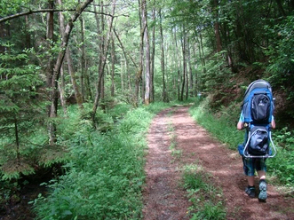 gemütliche Wanderung Wanderer mit Kraxe auf schattigem Waldweg entlang eines kleinen Bachs