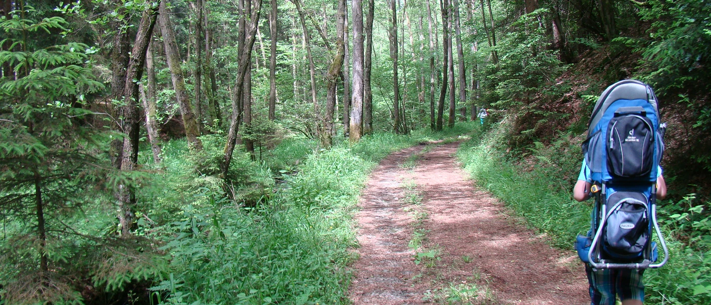 gemütliche Wanderung Wanderer mit Kraxe auf schattigem Waldweg entlang eines kleinen Bachs