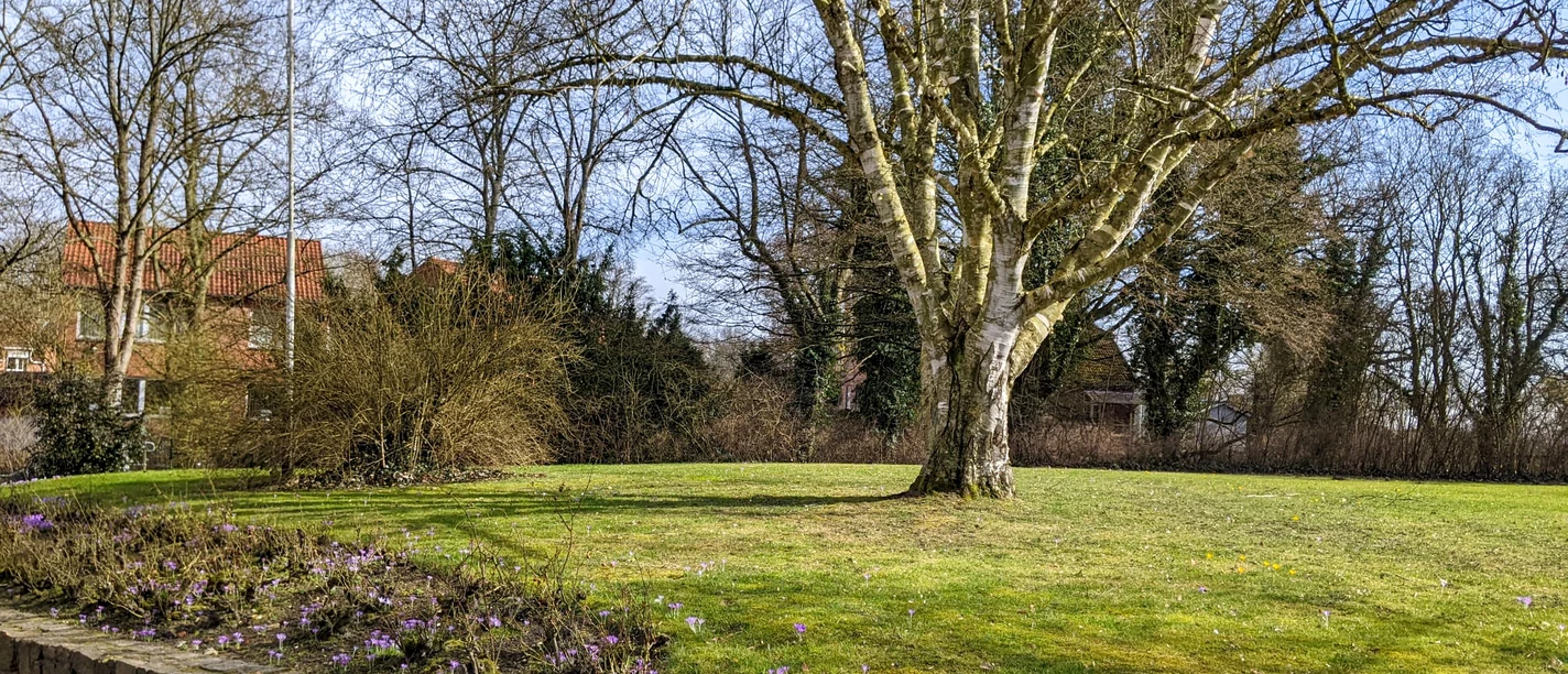 Frühling in Lauenburg/Elbe Frühling