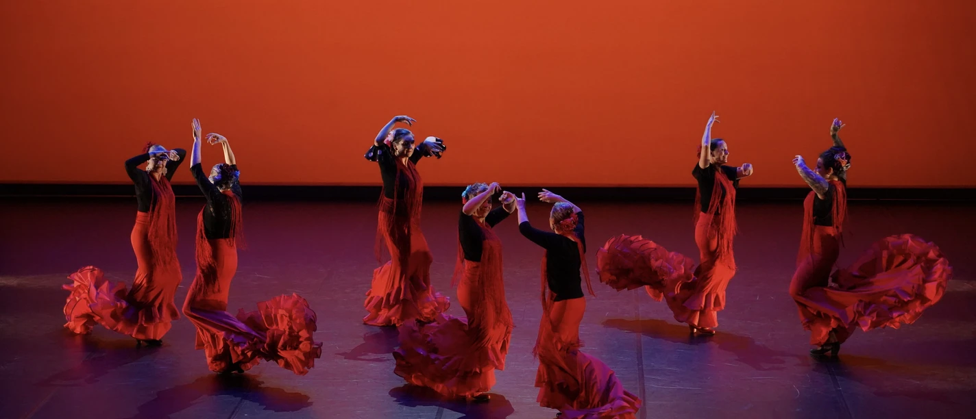 Flamenco und Kathak Tanzschule Foto @privat.jpg
