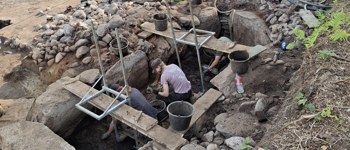 Grabung 2026 Ahlen-Falkenberg Archäologische Grabung im Ahlen-Falkenberger Moor mit freigelegten Steinen und Weideland