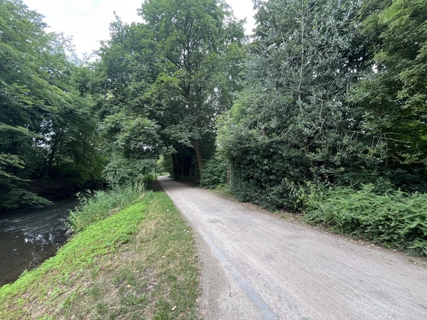 Befestigter Weg am Flussufer mit dichten grünen Bäumen im Riegerpark Gütersloh.