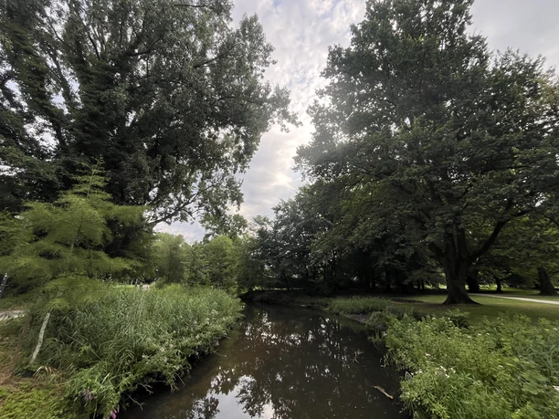Flusslauf der Dalke mit hohen Bäumen und dichtem Grün im Riegerpark in Gütersloh.