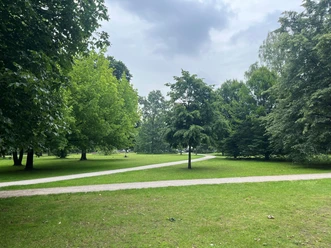Grüne Rasenflächen, große Bäume und helle Kieswege im Riegerpark unter bewölktem Himmel.